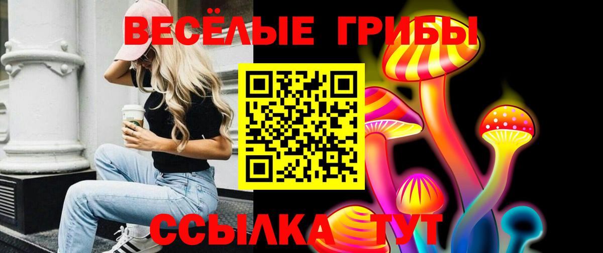 Железногорск  Псилоцибиновые грибы мухоморы  даркнет сайт  Вход с VPN  Галлюциногенные грибы MAGIC MUSHROOMS 